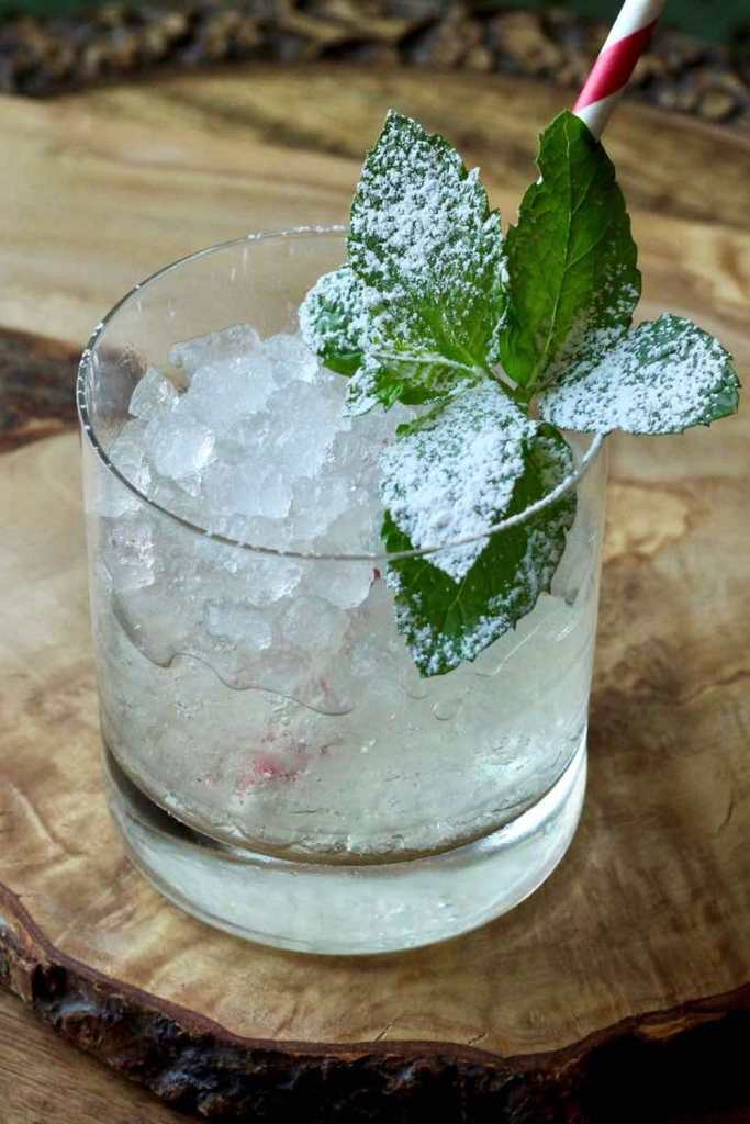 Gin Julep Classic Recipe & History Vintage American Cocktails