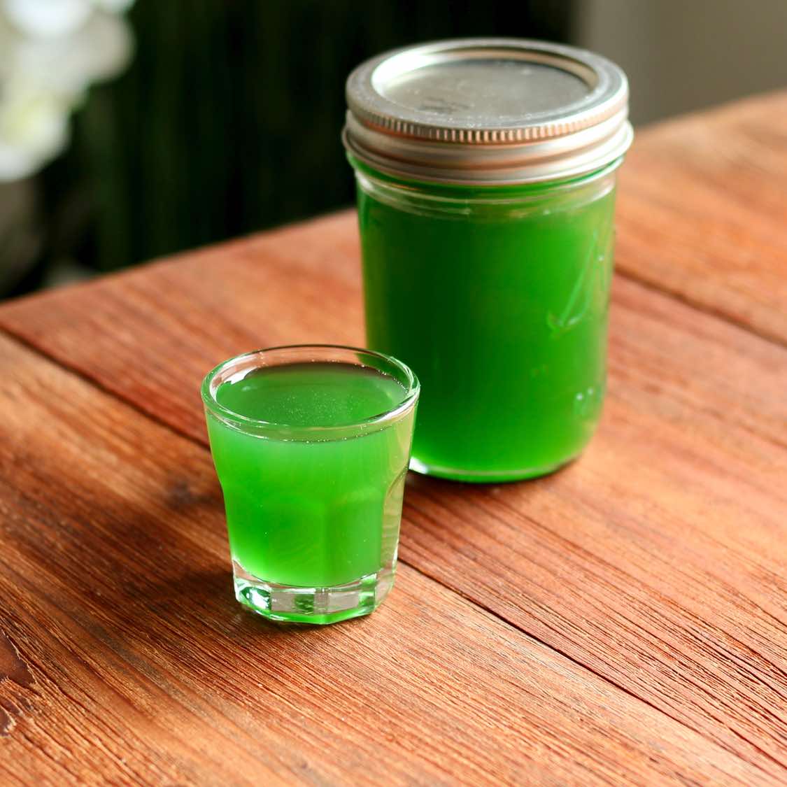 Green Fassionola Syrup Recipe Vintage American Cocktails green-fassionola-syrup-recipe-vintage-american-cocktails